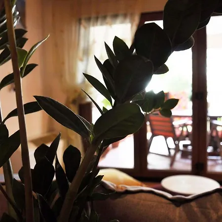 Sea La Vie Apartament